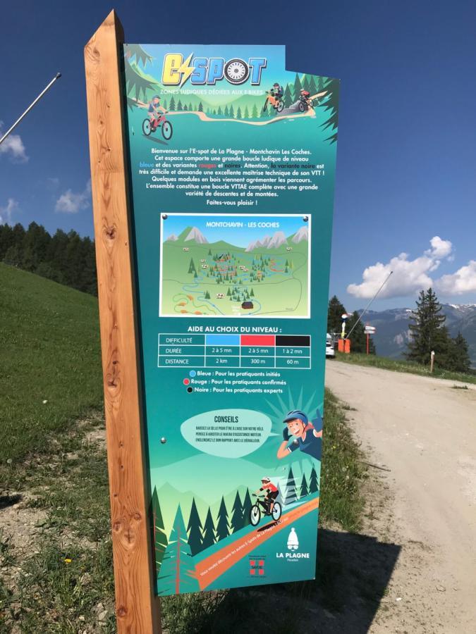 Chalet Miravidi, Montchavin-La Plagne, Jacuzzi & Sauna المظهر الخارجي الصورة