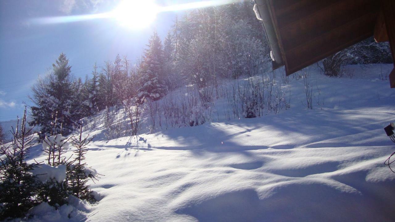 Chalet Miravidi, Montchavin-La Plagne, Jacuzzi & Sauna المظهر الخارجي الصورة